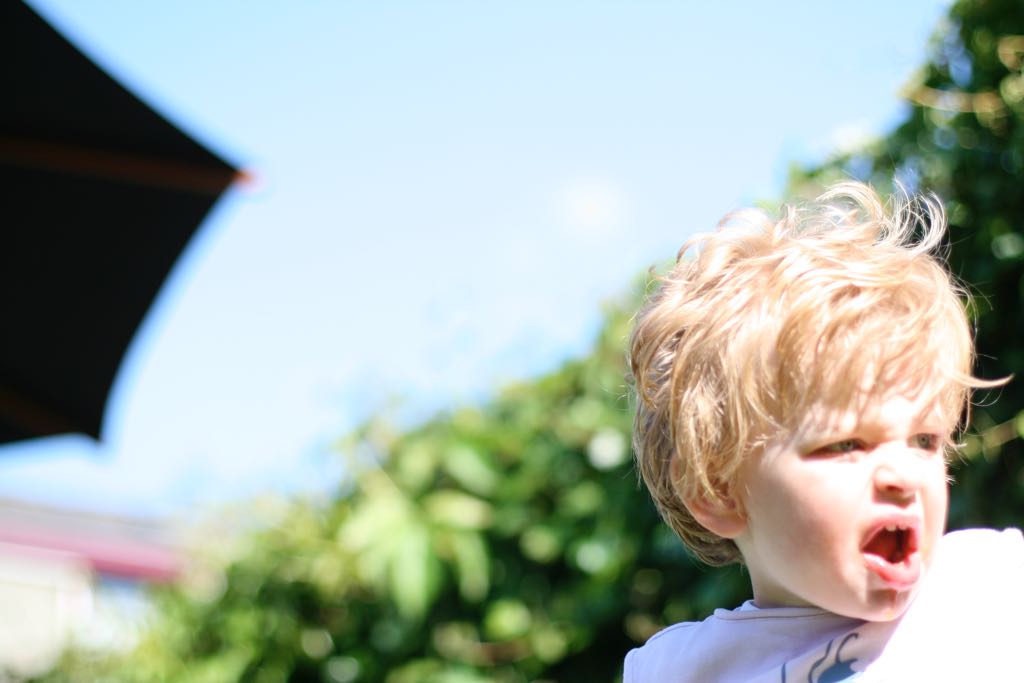 EOS IMG_20090623_0551