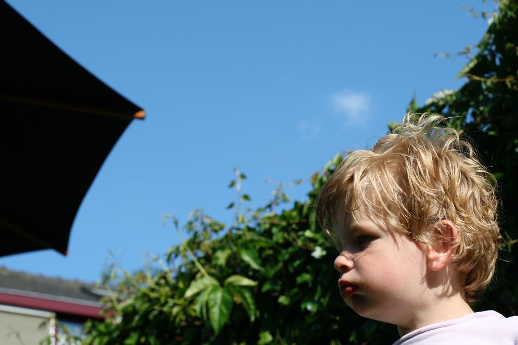 EOS IMG_20090623_0554