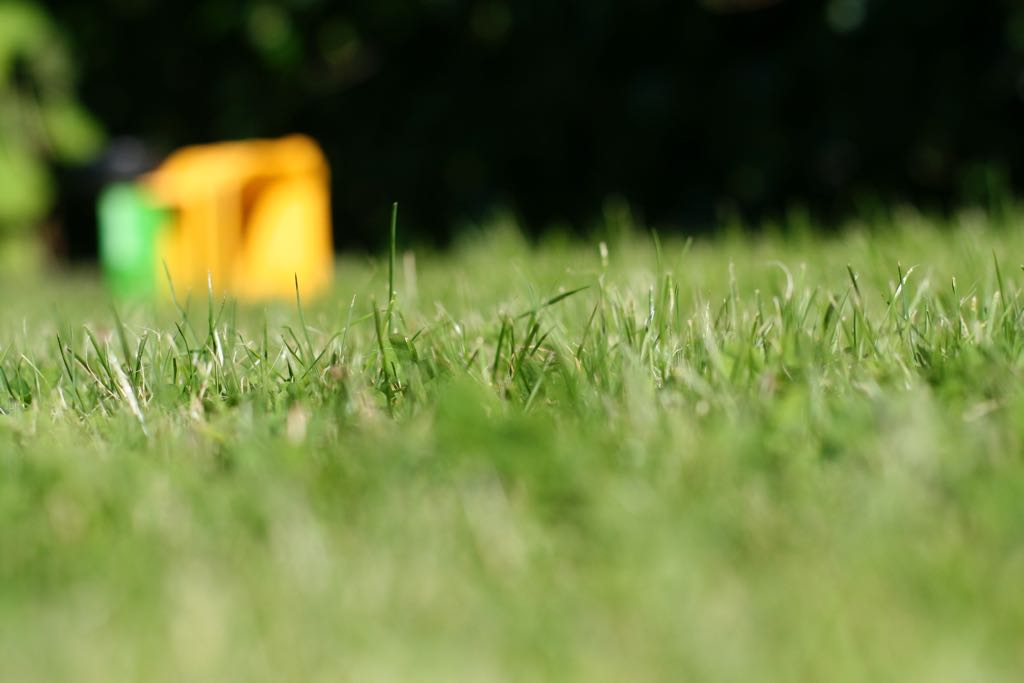 EOS IMG_20090623_0562