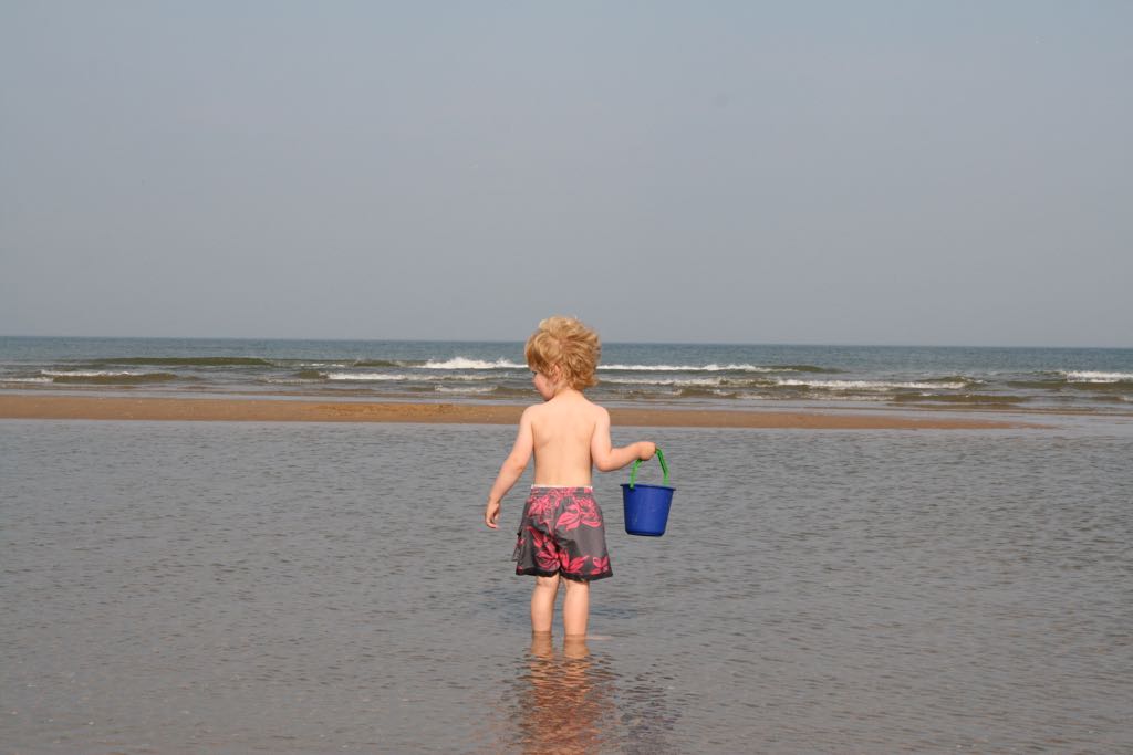 EOS IMG_20090703_0618
