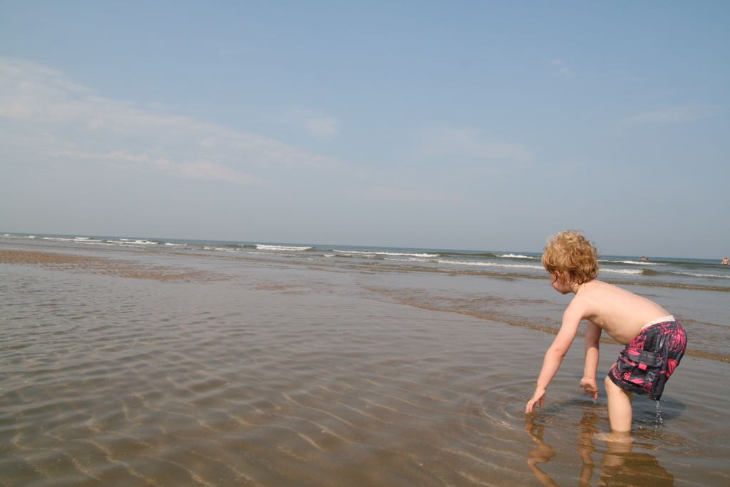 EOS IMG_20090703_0647
