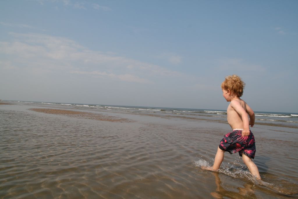 EOS IMG_20090703_0648