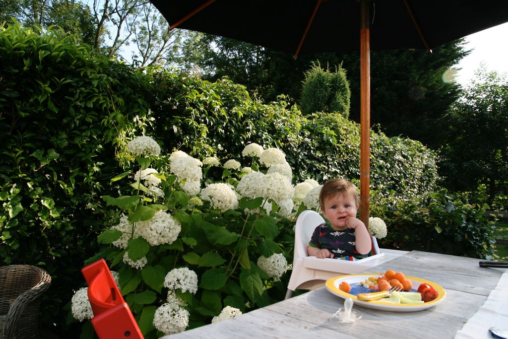 EOS IMG_20090713_0710