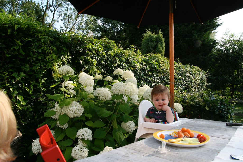 EOS IMG_20090713_0711