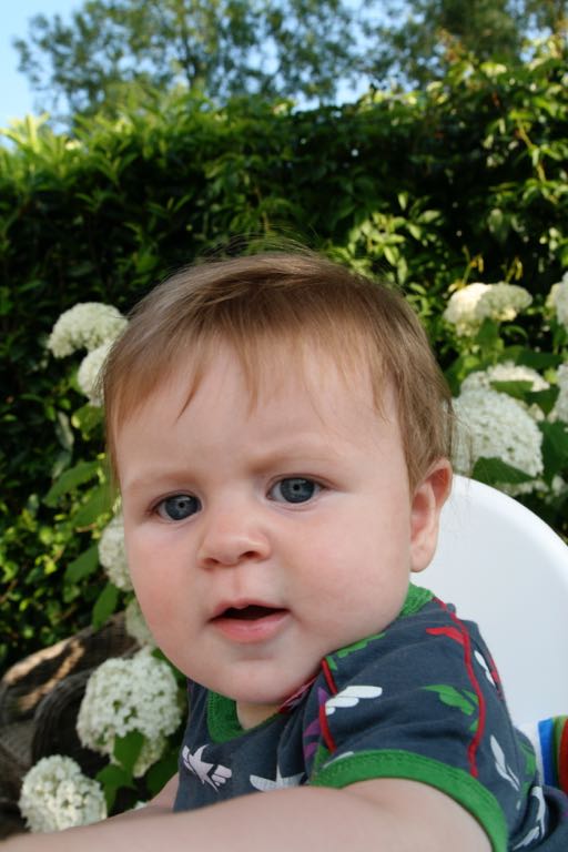 EOS IMG_20090713_0717