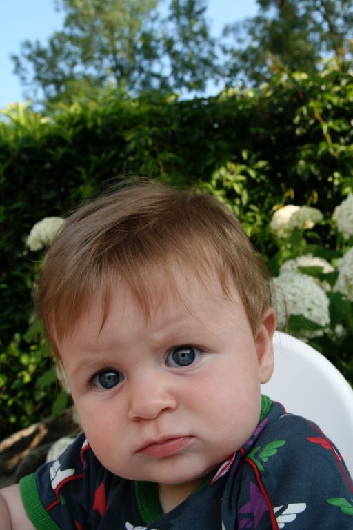 EOS IMG_20090713_0718