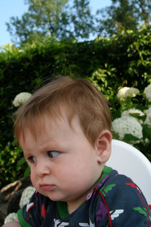 EOS IMG_20090713_0720