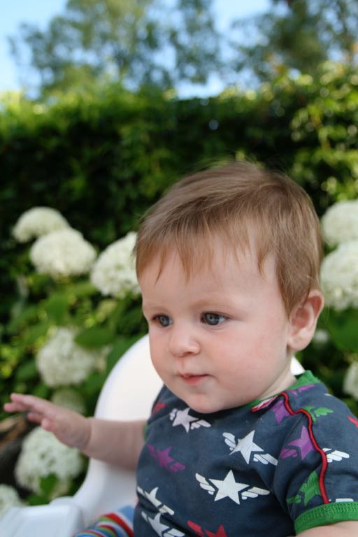 EOS IMG_20090713_0723