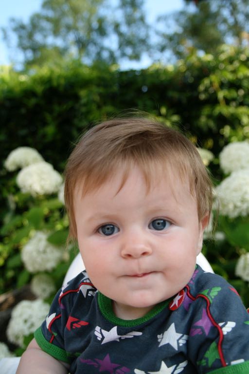 EOS IMG_20090713_0724