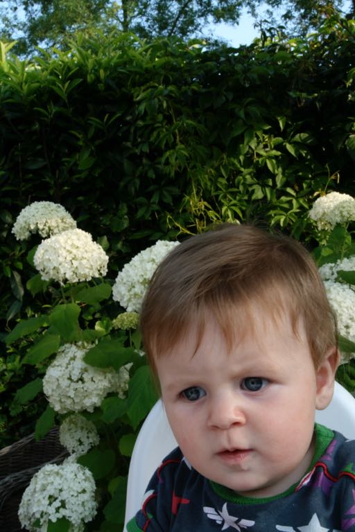 EOS IMG_20090713_0733