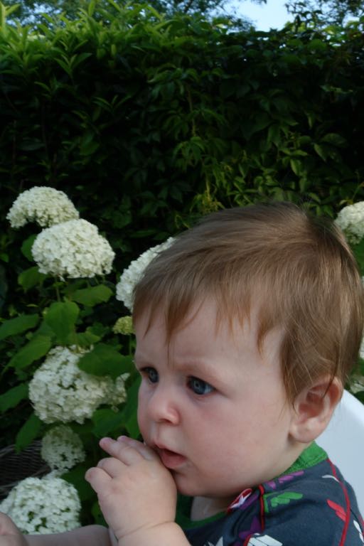 EOS IMG_20090713_0736