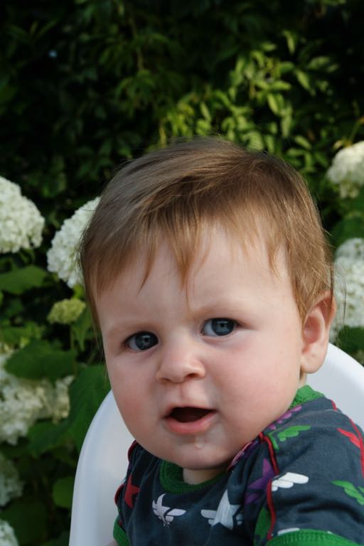 EOS IMG_20090713_0763