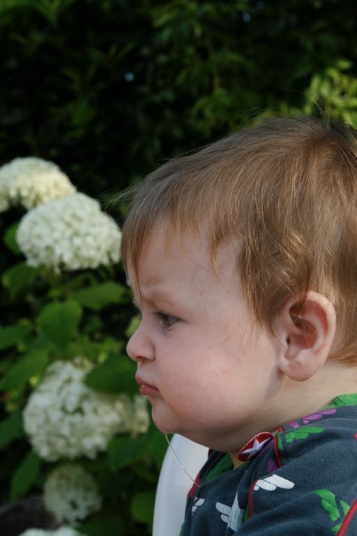 EOS IMG_20090713_0764