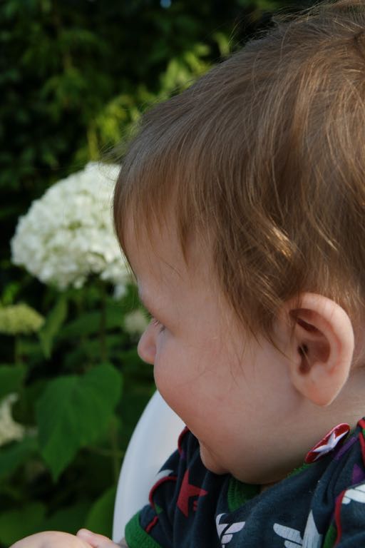EOS IMG_20090713_0765