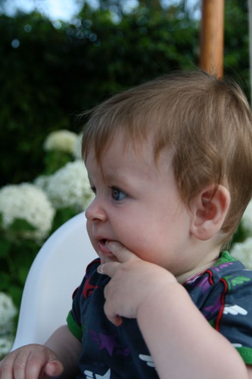 EOS IMG_20090713_0794