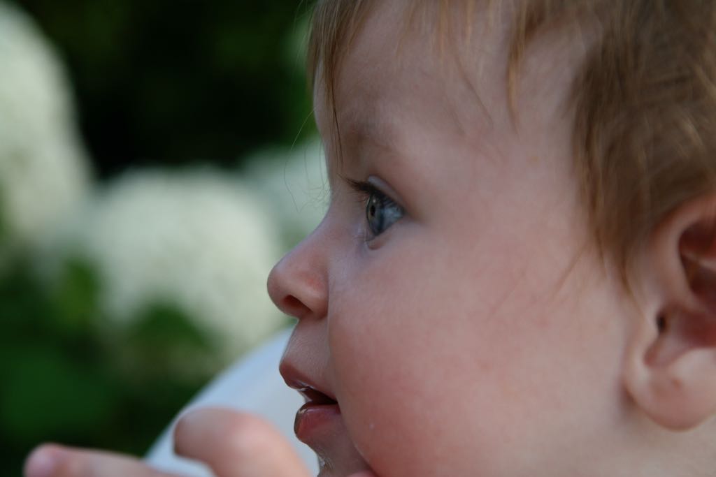 EOS IMG_20090713_0796