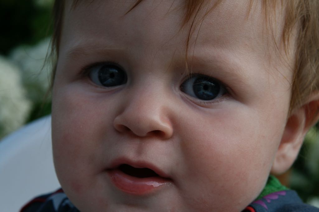 EOS IMG_20090713_0801
