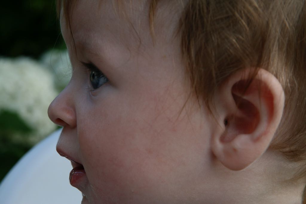 EOS IMG_20090713_0802