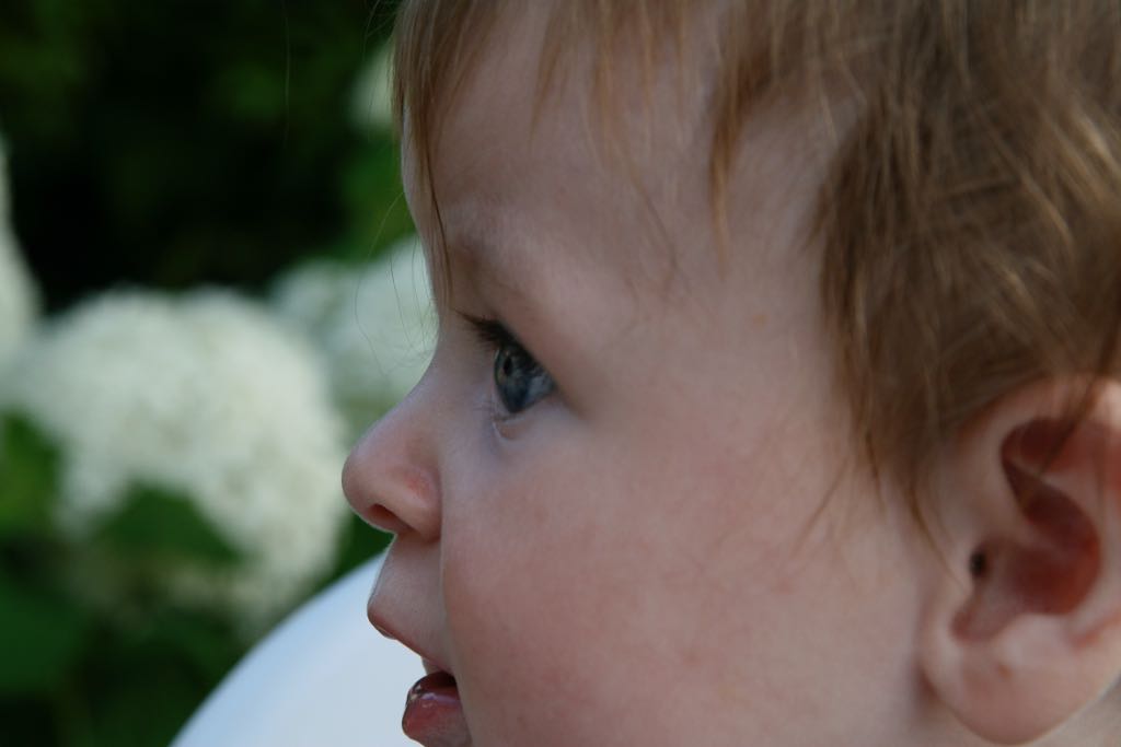 EOS IMG_20090713_0803