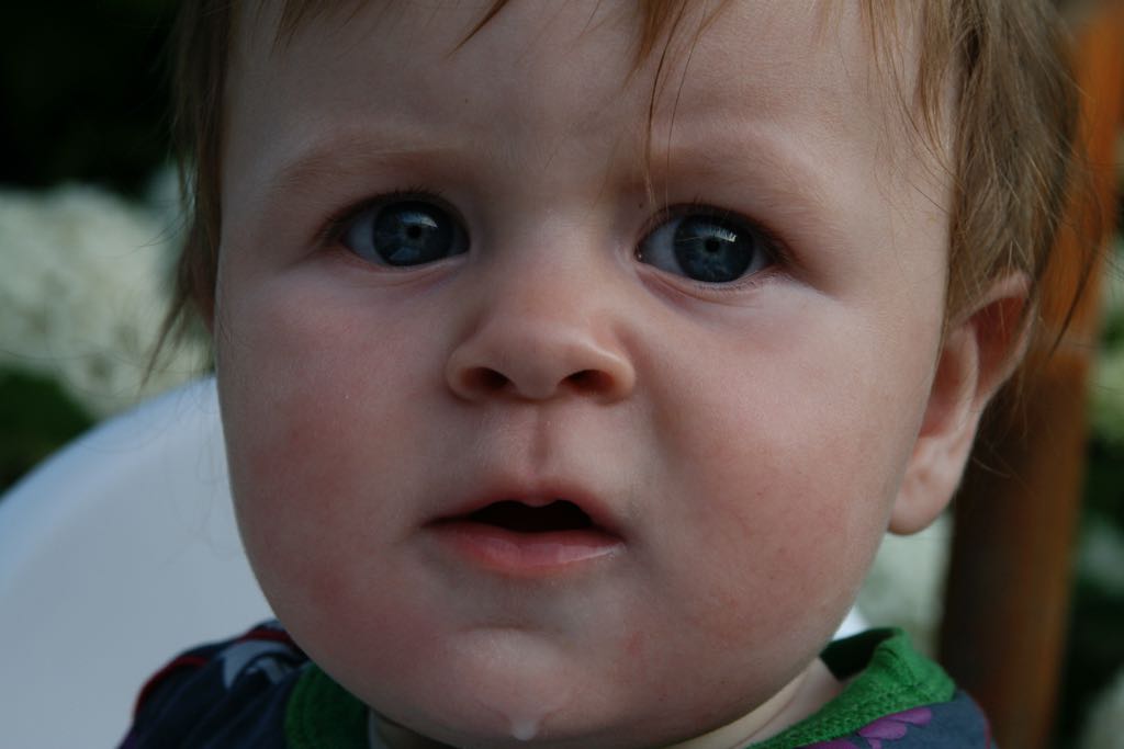 EOS IMG_20090713_0808