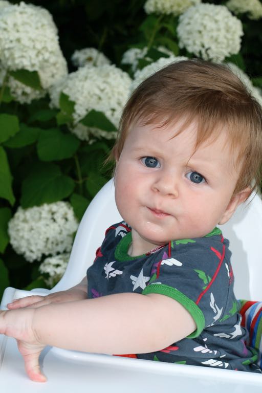 EOS IMG_20090713_0816