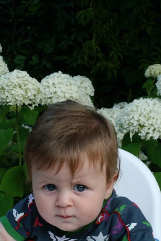 EOS IMG_20090713_0834