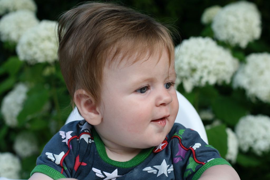 EOS IMG_20090713_0840