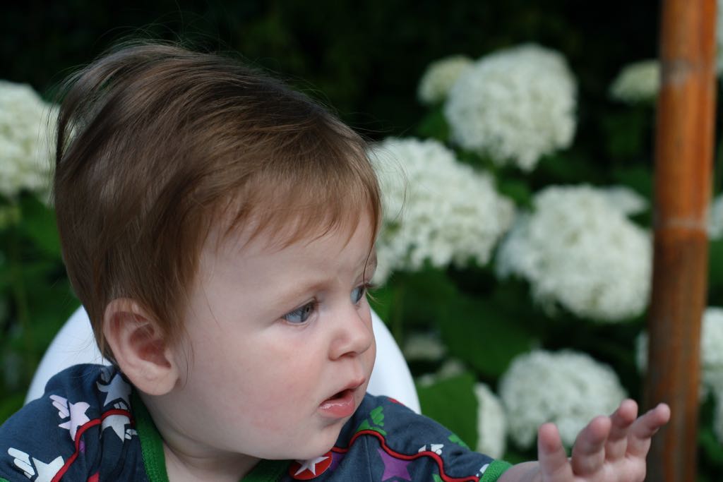 EOS IMG_20090713_0842