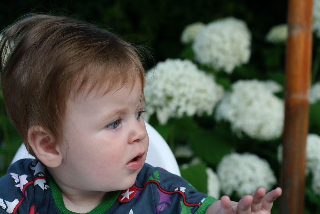 EOS IMG_20090713_0843