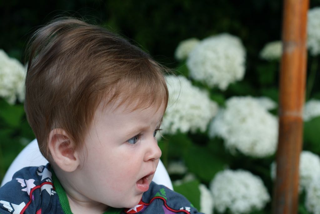 EOS IMG_20090713_0844