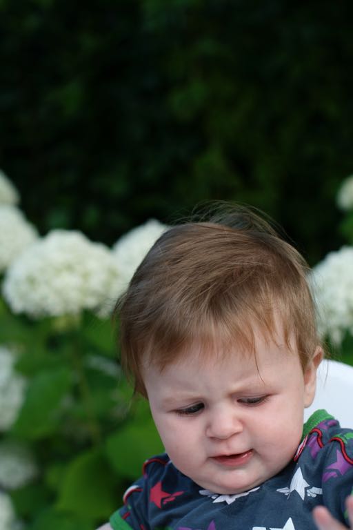 EOS IMG_20090713_0854