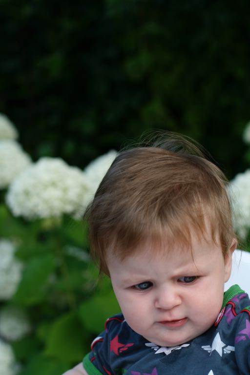 EOS IMG_20090713_0855