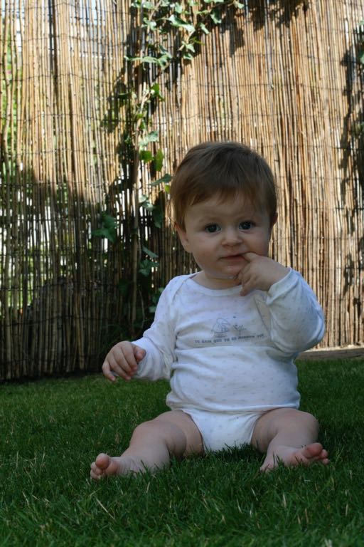 EOS IMG_20090716_0871