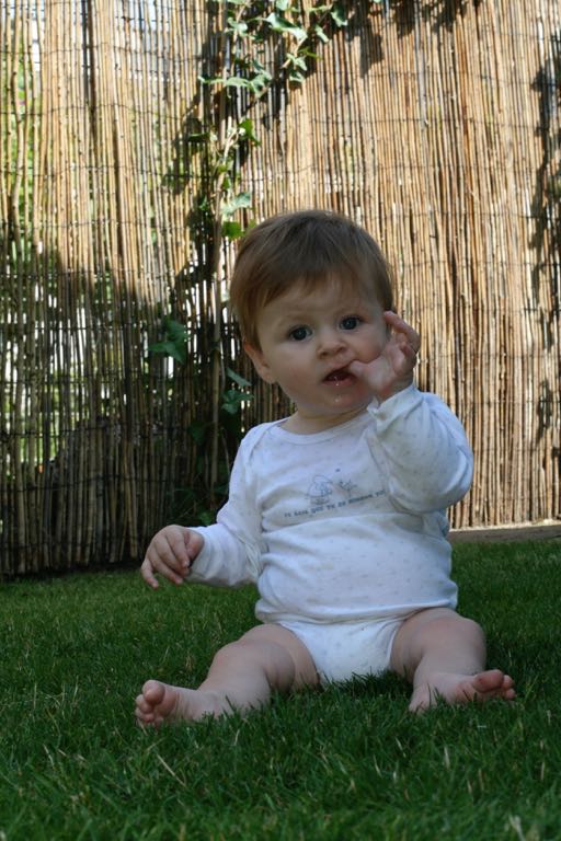 EOS IMG_20090716_0875