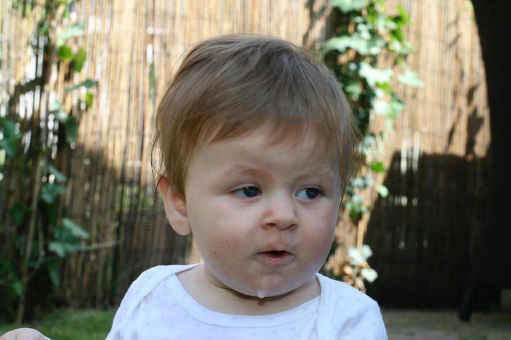 EOS IMG_20090716_0880
