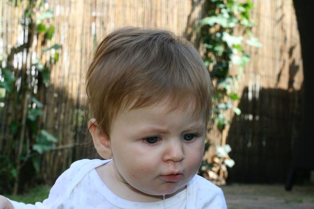 EOS IMG_20090716_0881