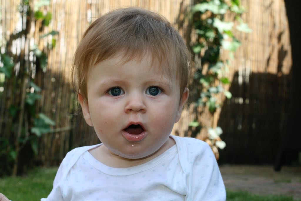EOS IMG_20090716_0882