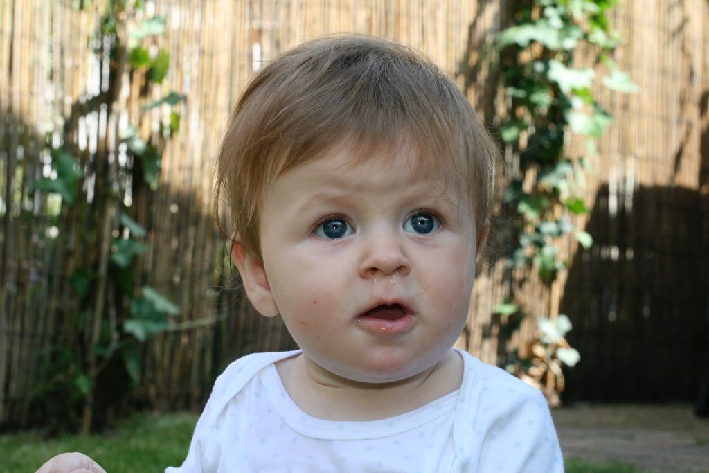 EOS IMG_20090716_0886