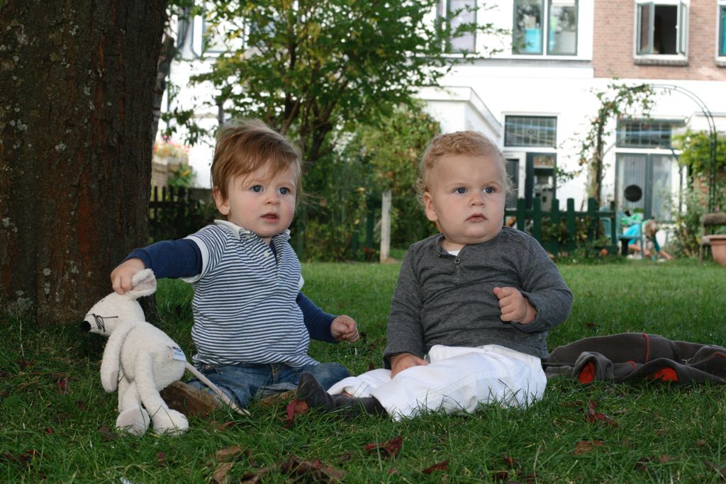 EOS IMG_20090927_1119