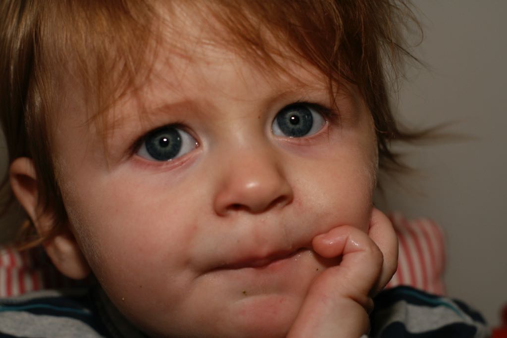 EOS IMG_20091016_1134
