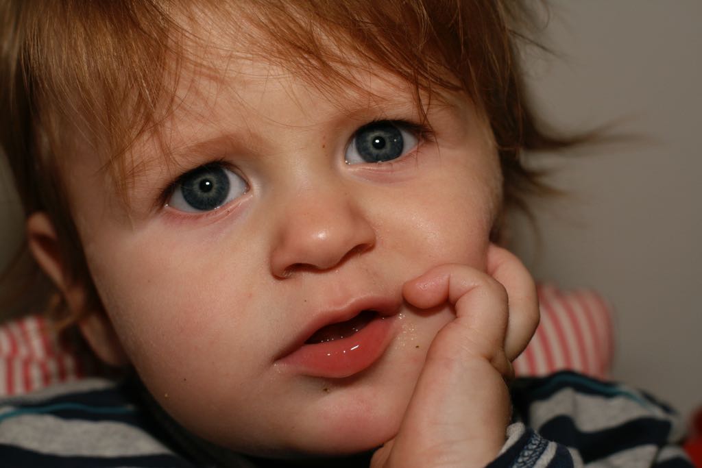 EOS IMG_20091016_1135