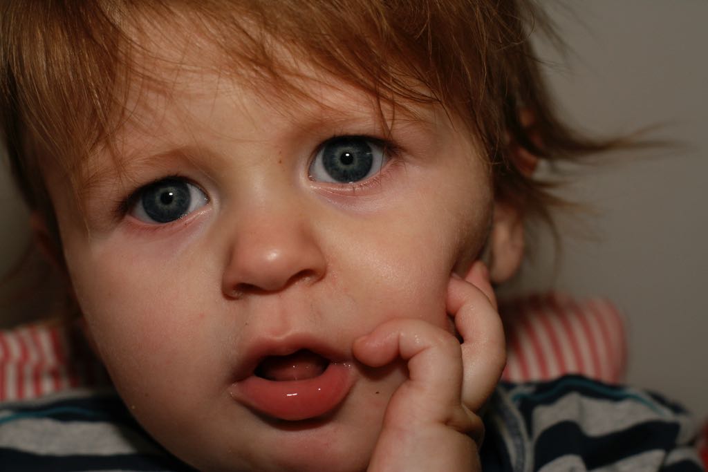 EOS IMG_20091016_1136