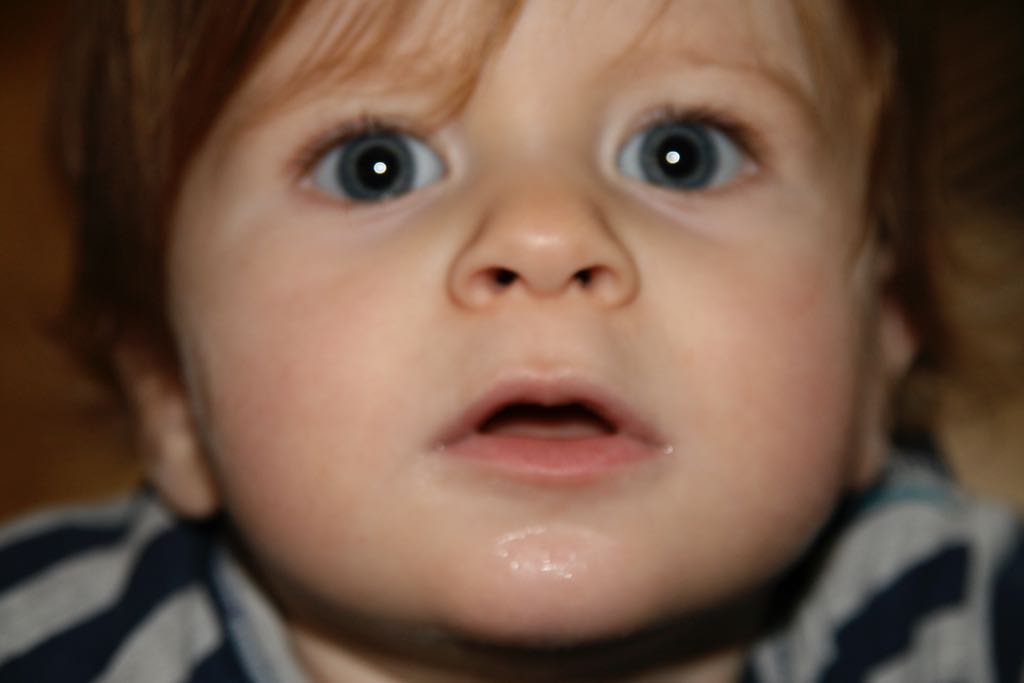 EOS IMG_20091115_1185