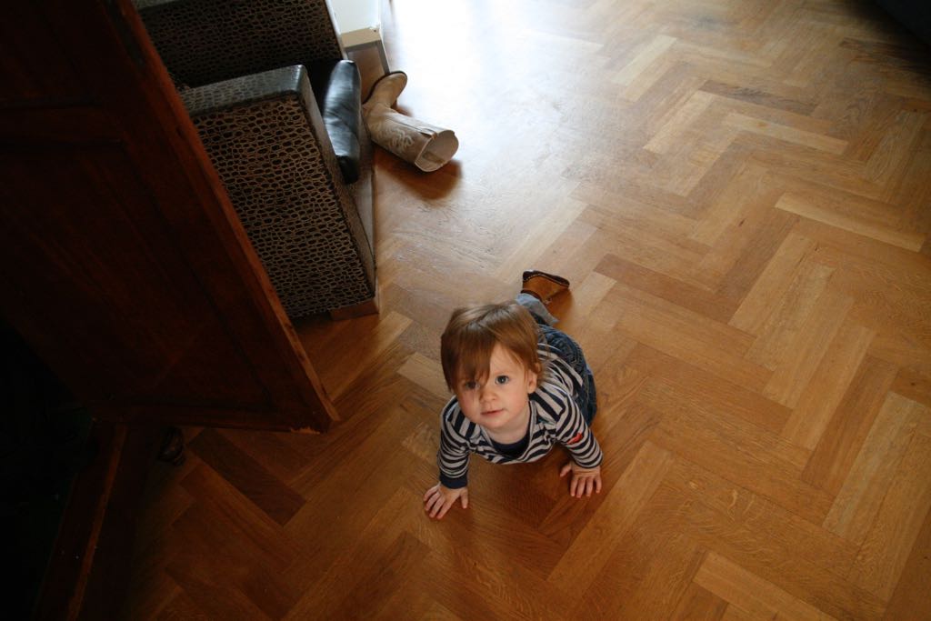 EOS IMG_20091115_1187