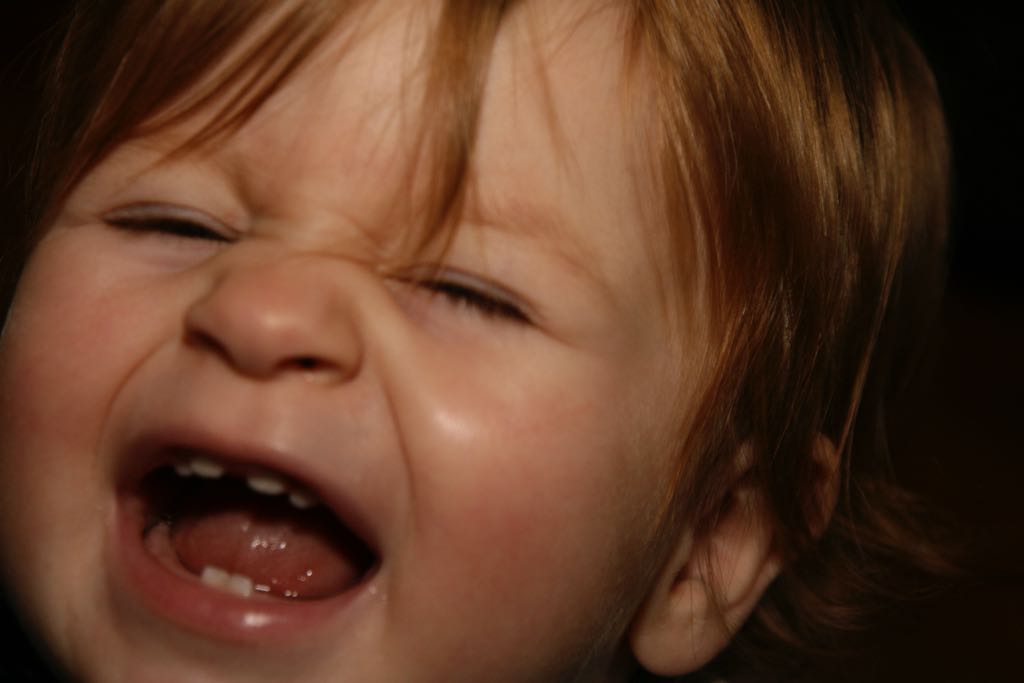 EOS IMG_20091115_1192