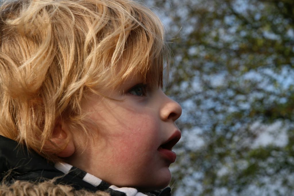 EOS IMG_20091115_1219