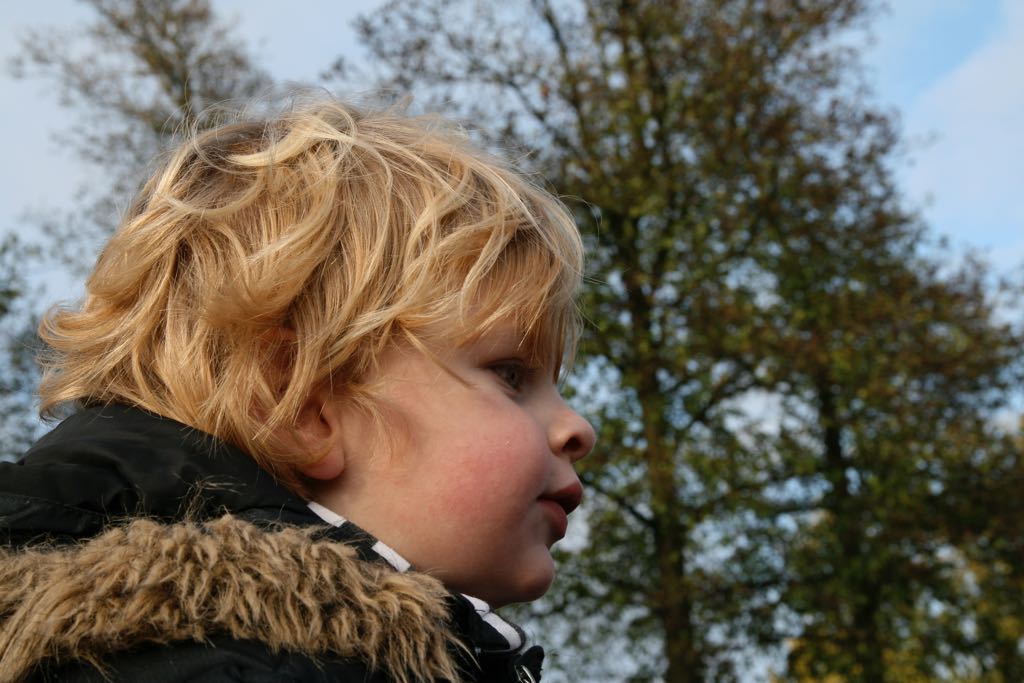 EOS IMG_20091115_1221