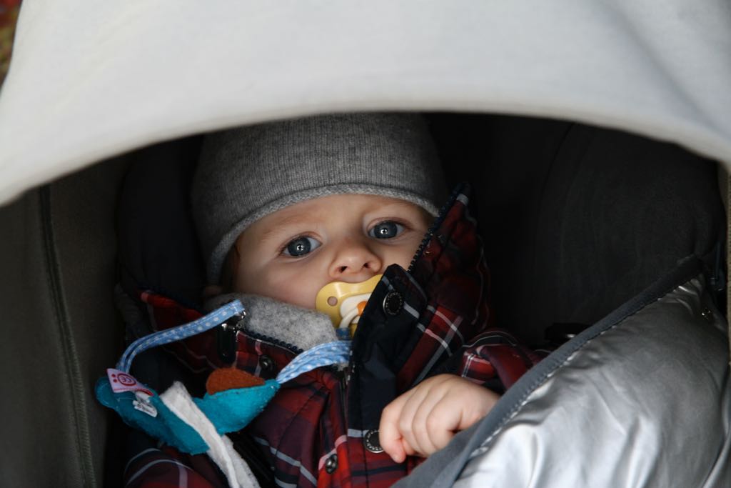 EOS IMG_20091115_1223