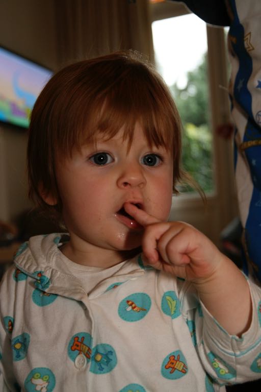 EOS IMG_20091128_1290