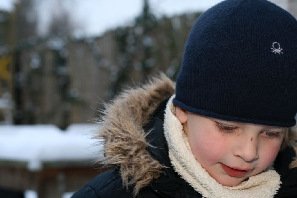 EOS IMG_20091220_1395